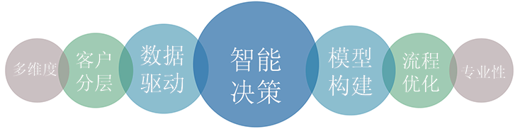 北京瑞天欣实数据科技有限公司CMMI 3认证