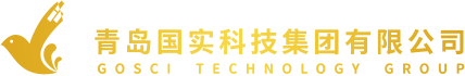 青岛国实数据服务有限公司CMMI 3认证