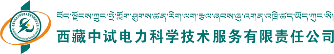 西藏中试电力科学技术服务有限责任公司通过CMMI3级认证