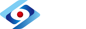 南京林洋电力科技有限公司CMMI 5认证