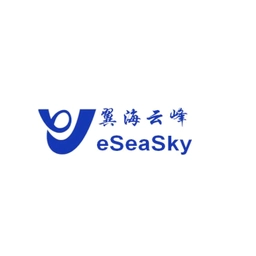 深圳市翼海云峰科技通过CMMI3级认证