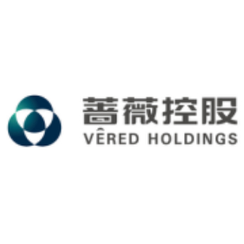 蔷薇大树科技有限公司CMMI3认证