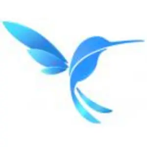 上海蜂虎信息科技有限公司CMMI3级认证证书