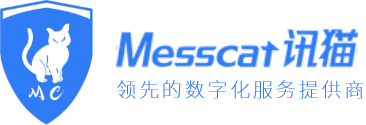 讯猫软件集团CMMI3级认证证书 讯猫软件集团CMMI3级认证证书
