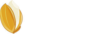 上海穗禾信息技术CMMI认证5级证书信息
