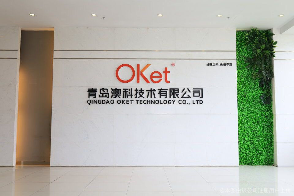 青岛萨纳斯新能源科技CMMI3级证书信息