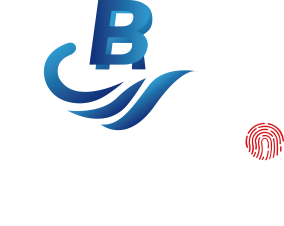 青岛博软网络科技CMMI3级证书信息