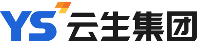 上海云生未来技术集团有限公司CMMI3级认证