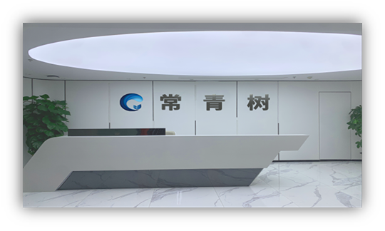 浙江常青树信息技术有限责任公司CMMI3级认证证书